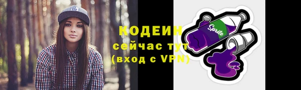 сатива Гусь-Хрустальный