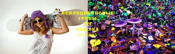 первитин Дмитриев